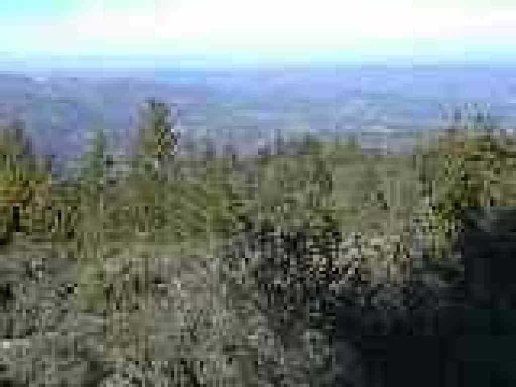View north