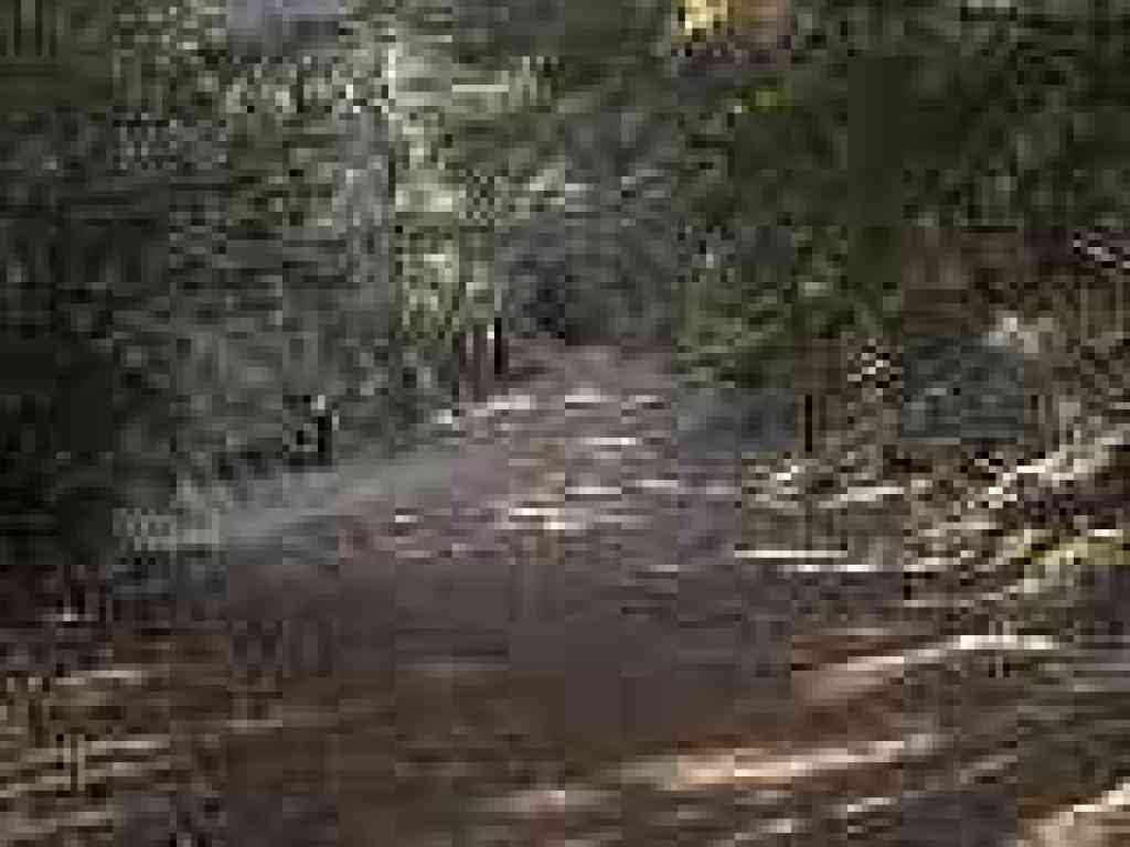 Junction with path to Potrero Meadows