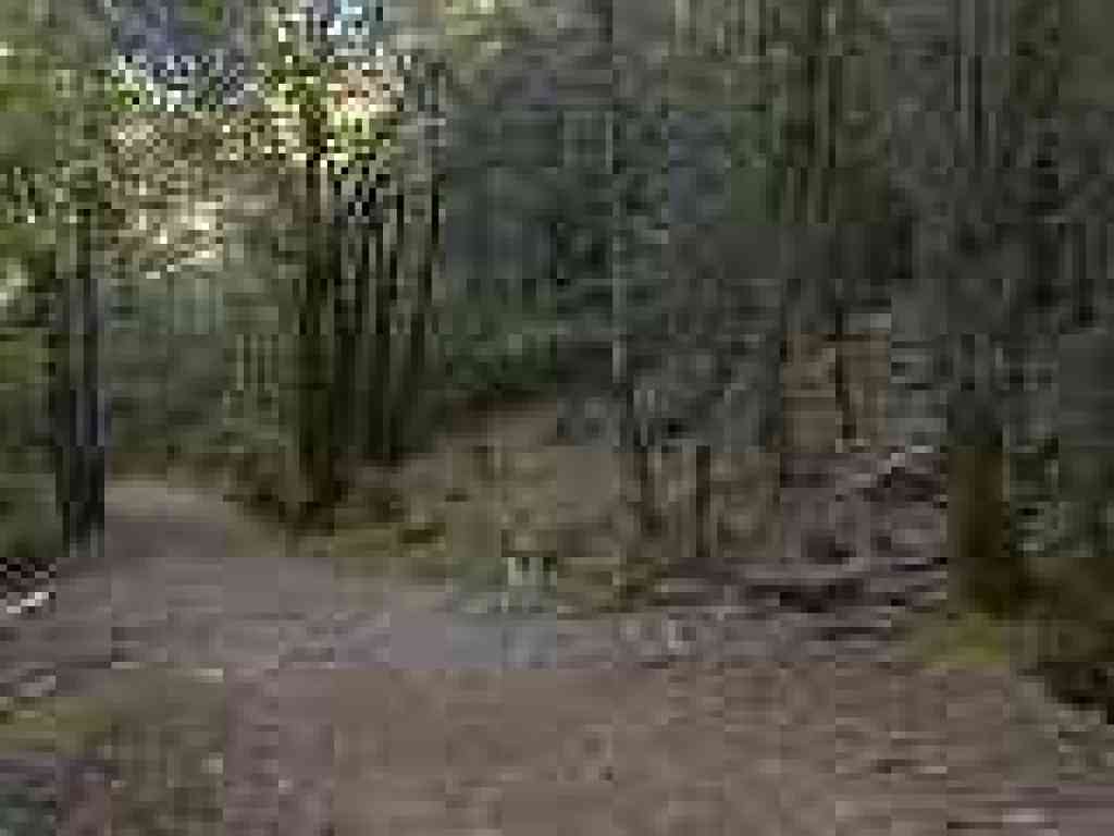 Junction with Bernstein Trail