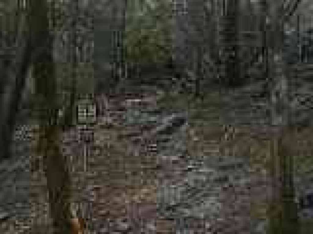 Benstein Trail