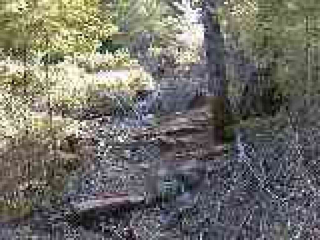 Trail is rocky and hard to follow in places
