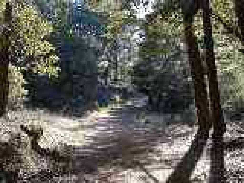 Rock Spring-Lagunitas Fire Road