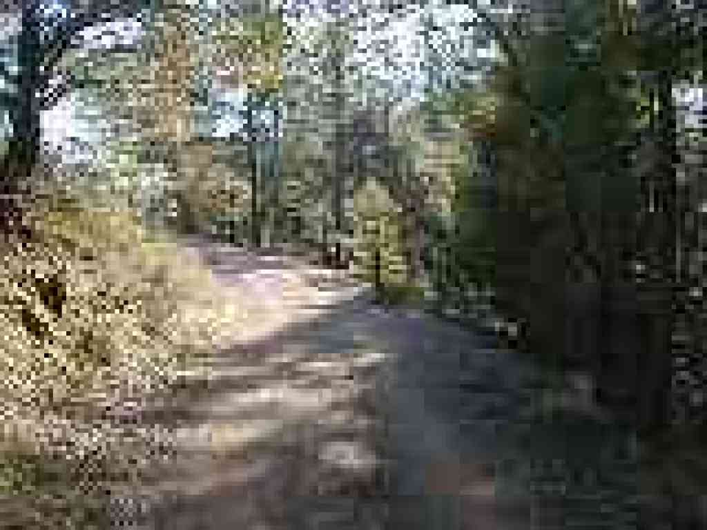 Junction with Benstein Trail