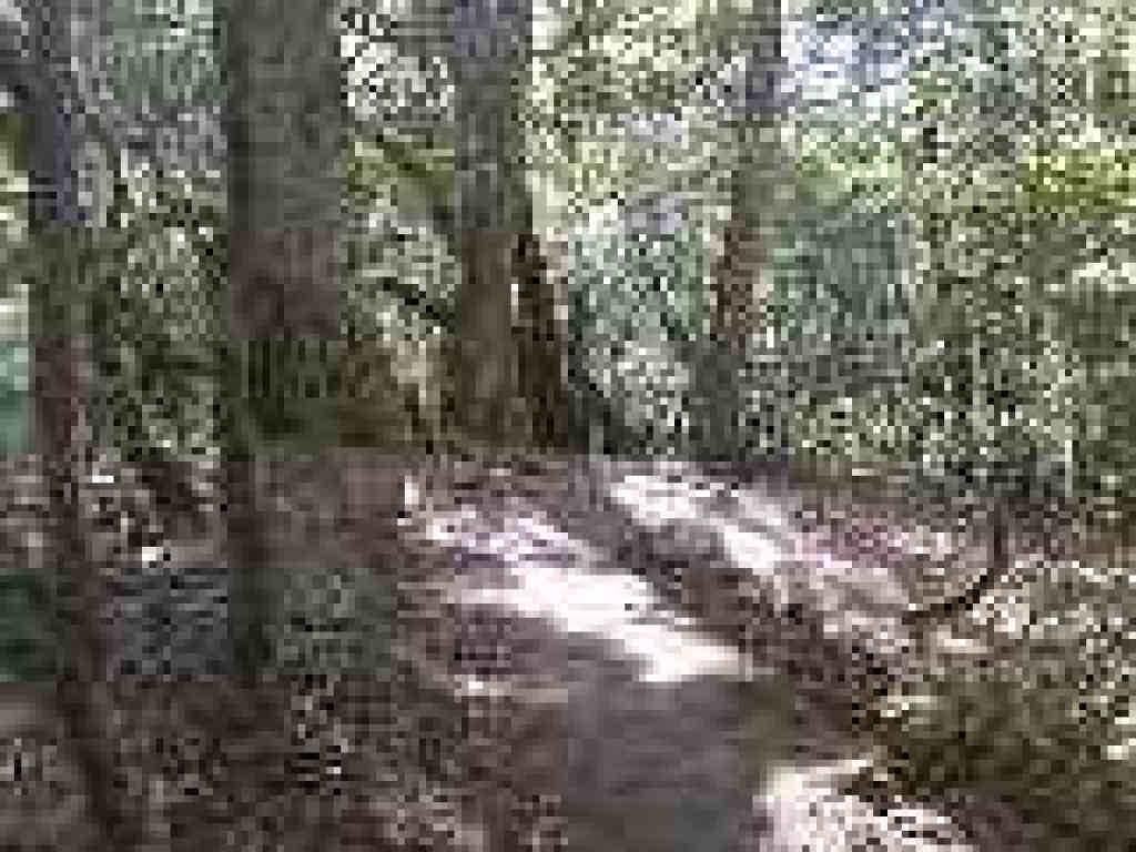 Switchback