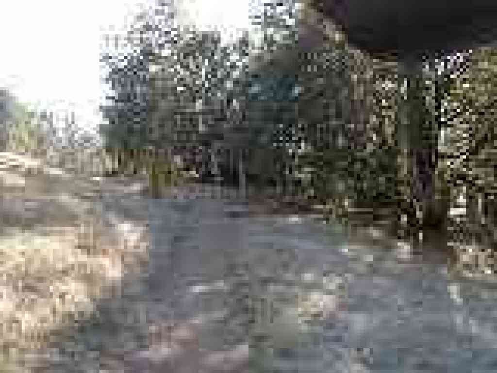 Junction