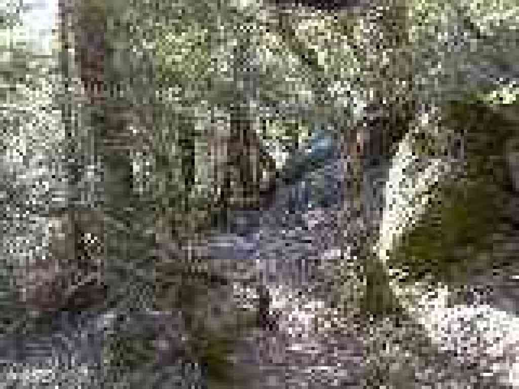 Rocky segment