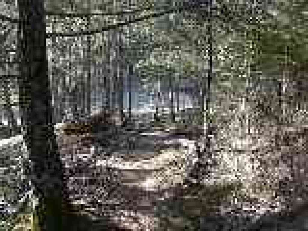 Trail's end