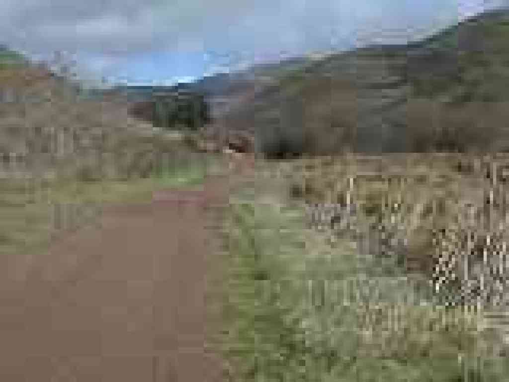 A creek on the right creates a marshy area in winter