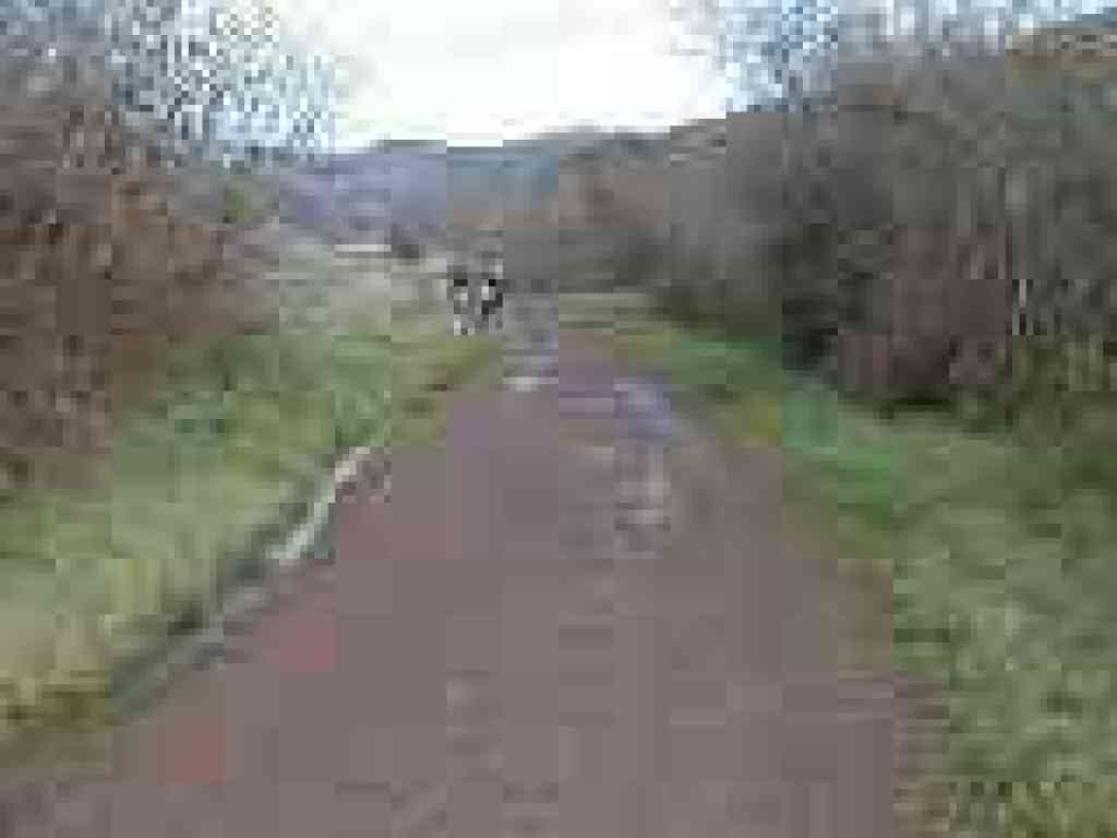 Approaching junction with Bobcat Trail