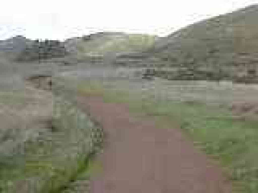 Miwok Trail