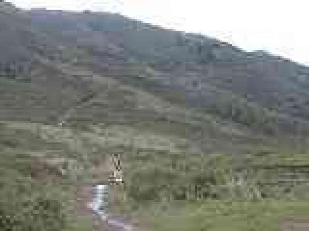 Wolf Ridge Trail