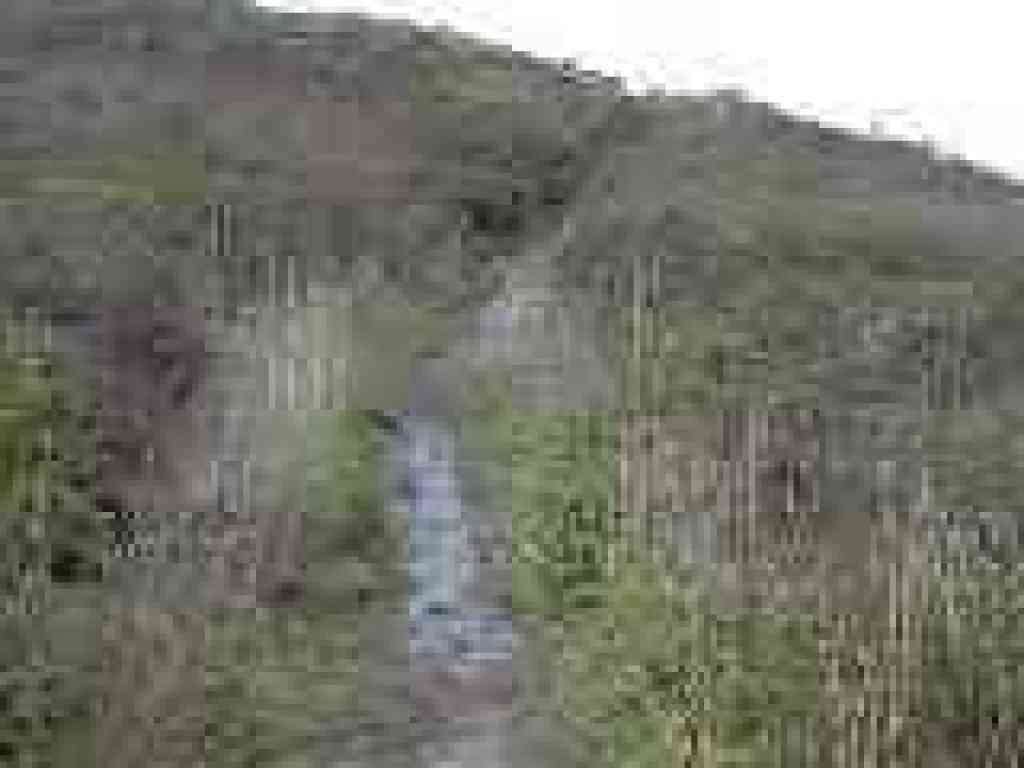 Narrow path