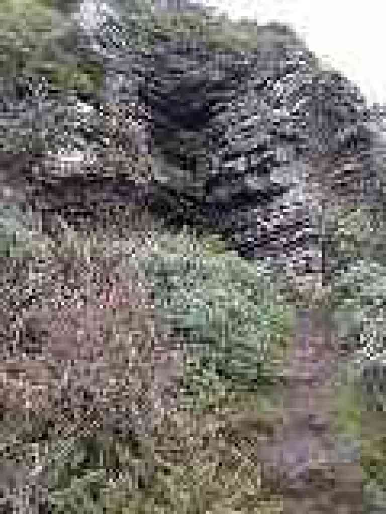 Water drips down rock