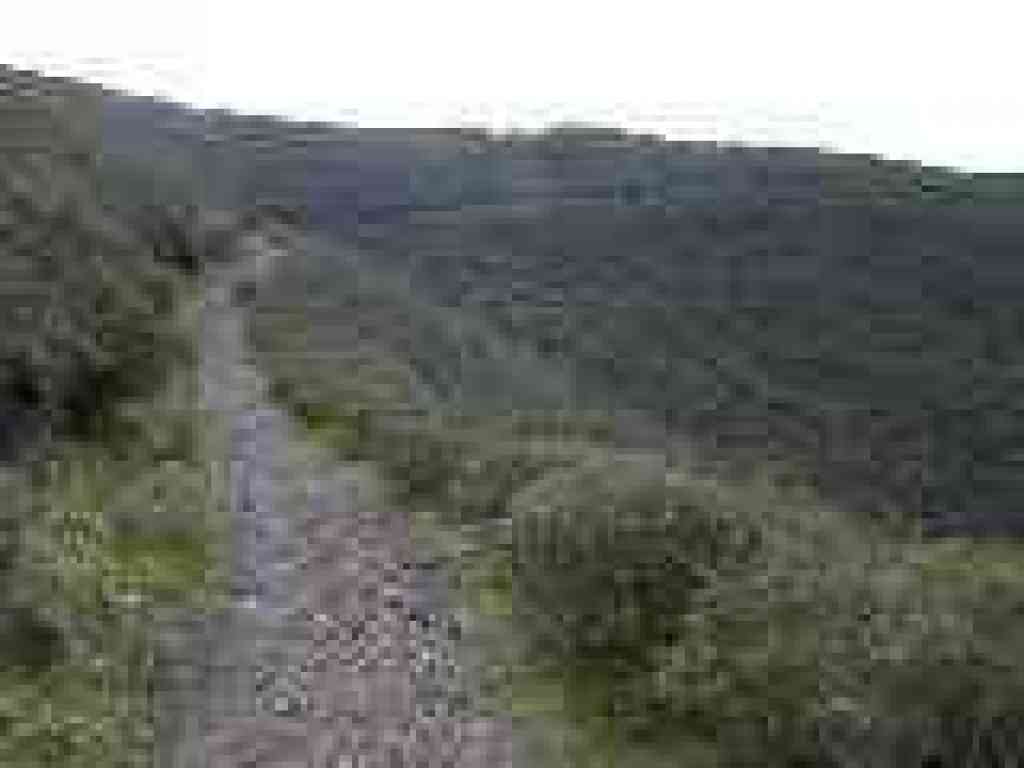 Final stretch is steep