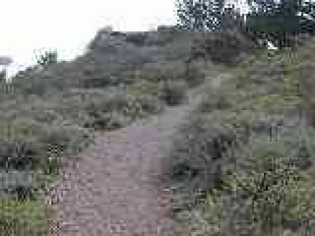 Trail turns left at sign