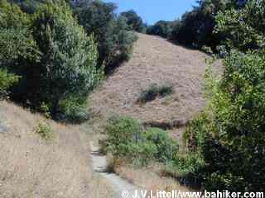 Loop Trail