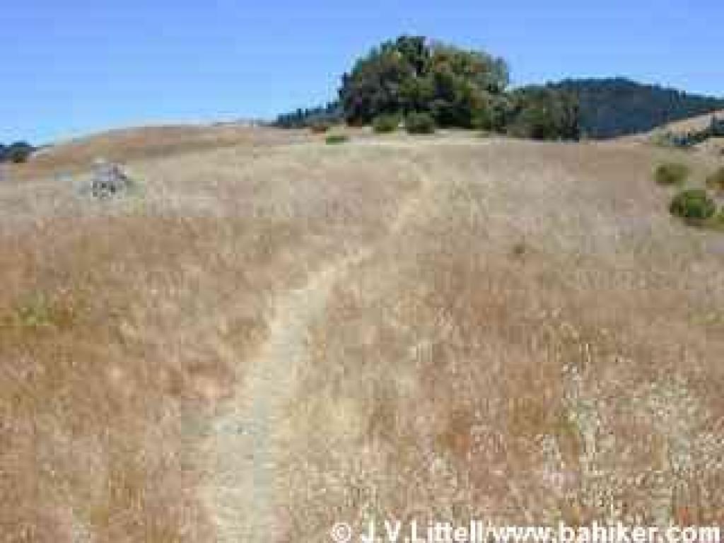 Thorner RIdge Trail