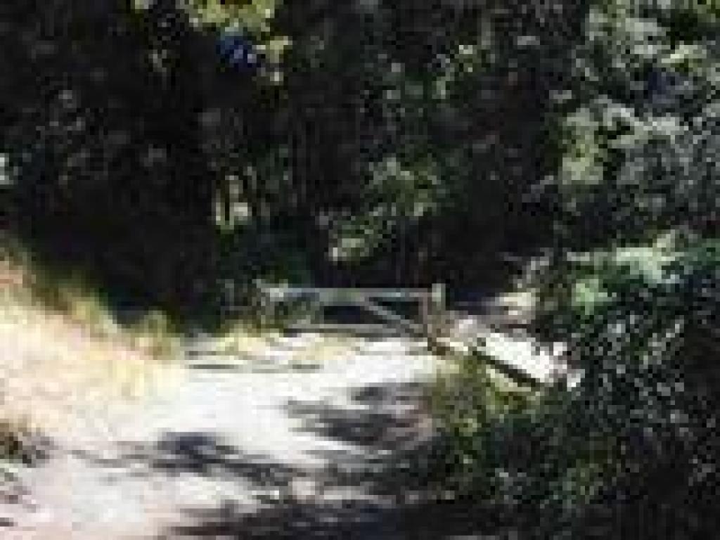Open space gate