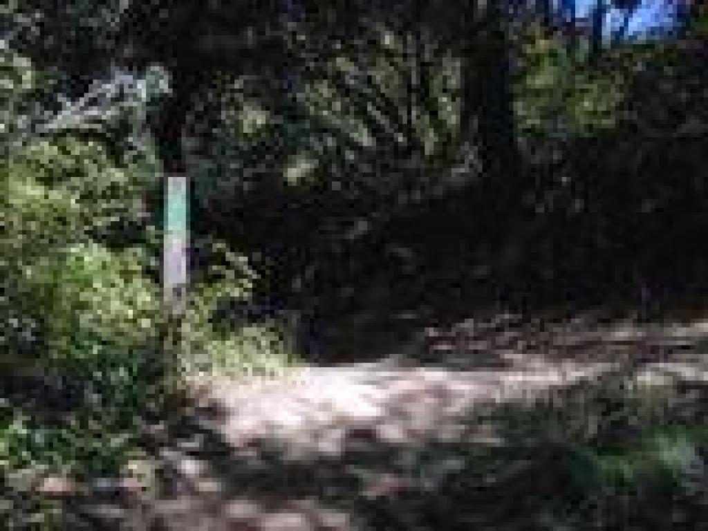 Junction with fire road