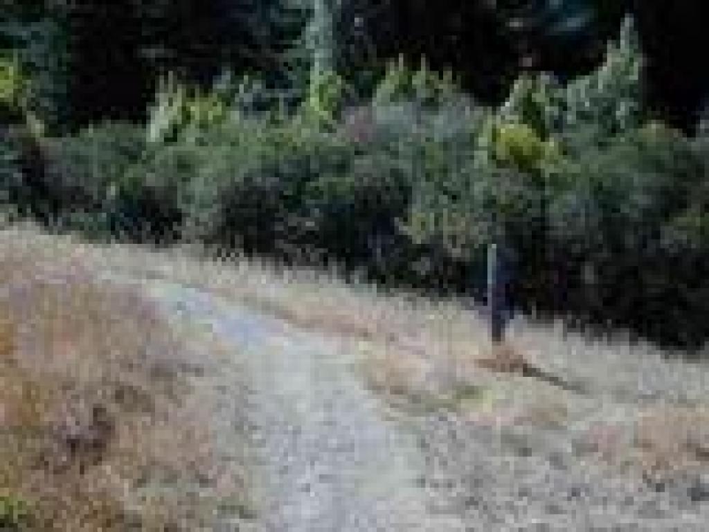 Junction