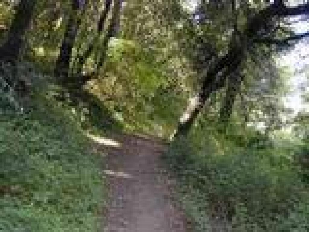 Loop Trail