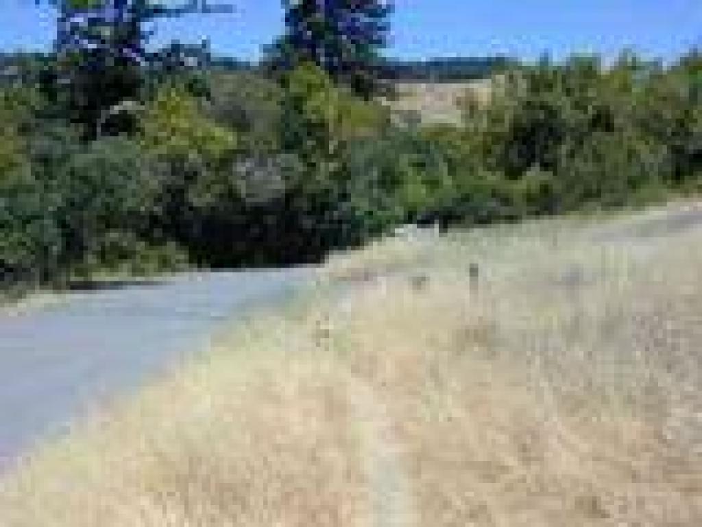 Trail's end