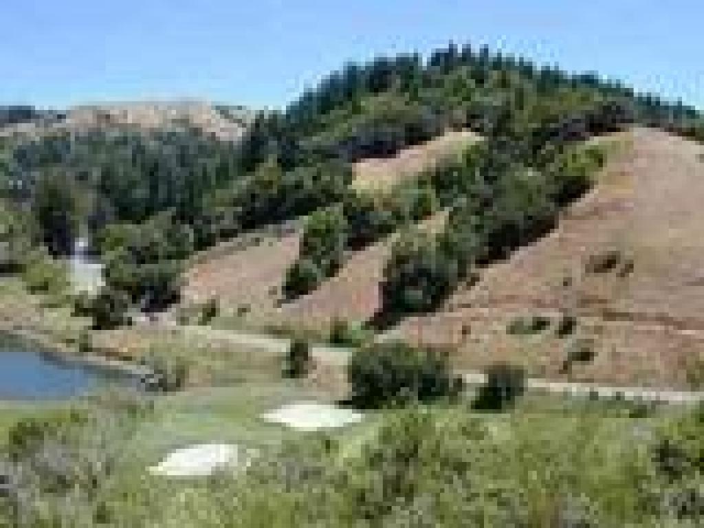 View back to Roy's Redwoods