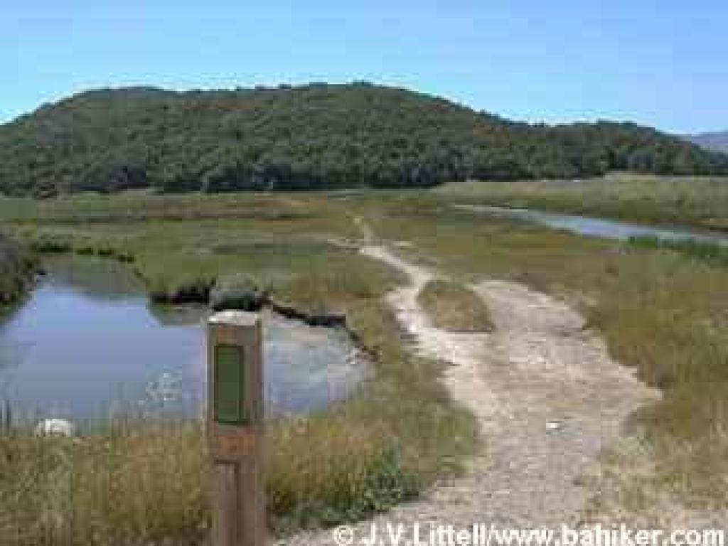 Trail across the levee