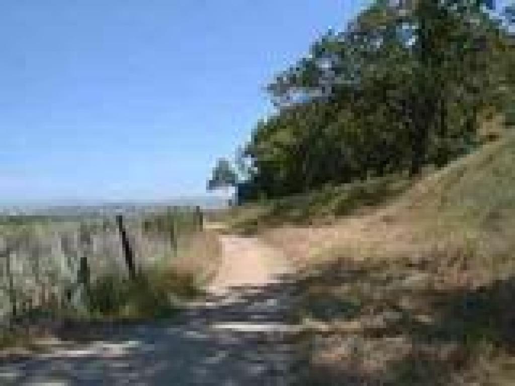 Pinheiro Fire Road