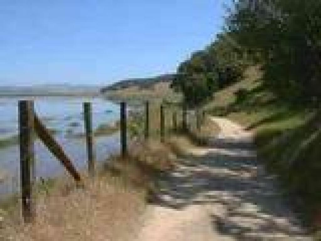 Along the marsh
