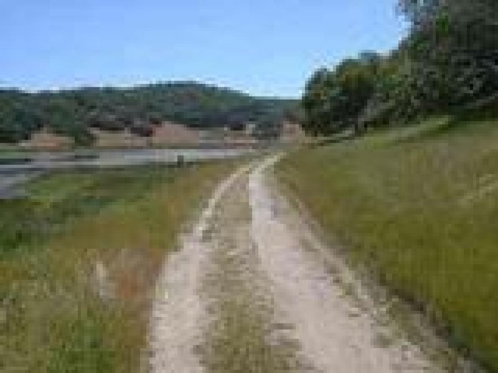 Back in grassland
