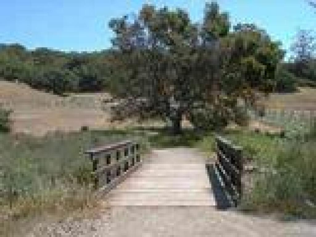 Bridge