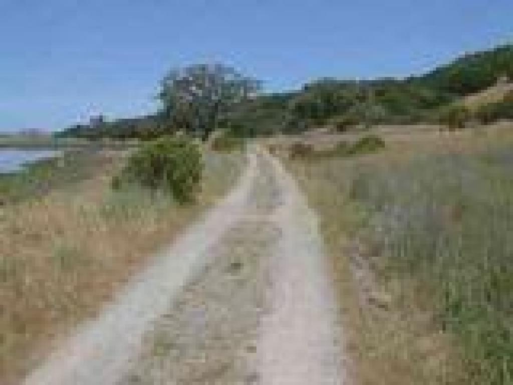 Rush Creek Fire Road