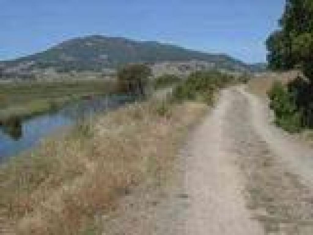 View to Mount Burdell