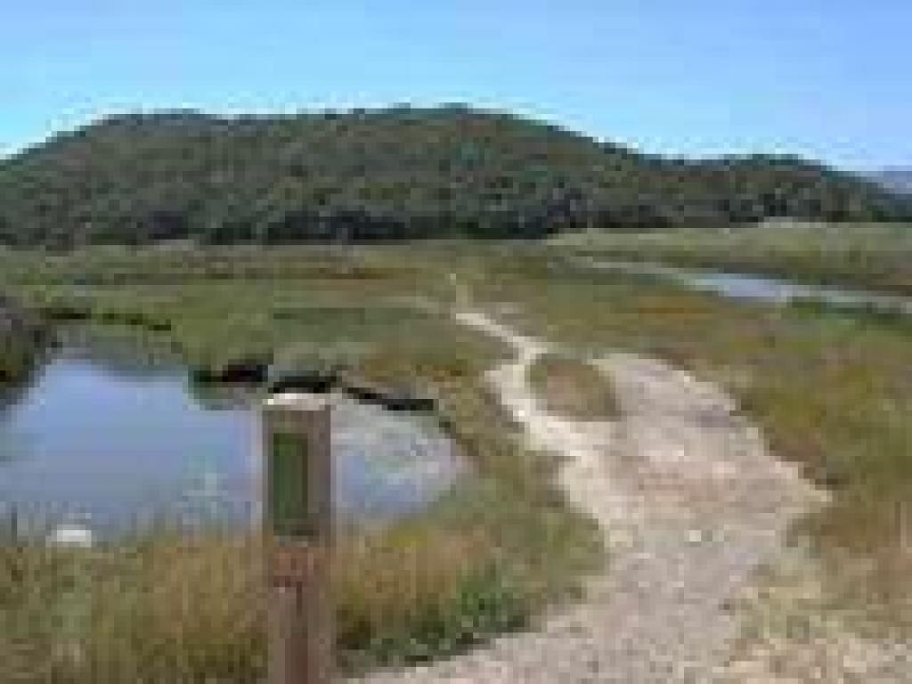 Trail