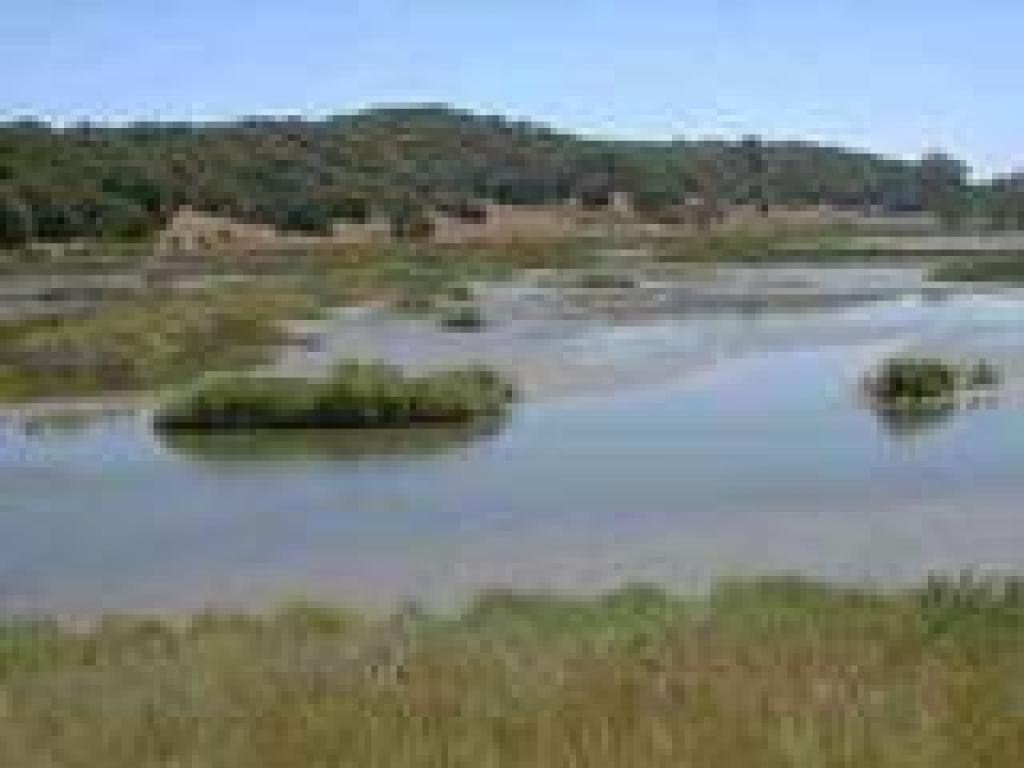 View back across the marsh