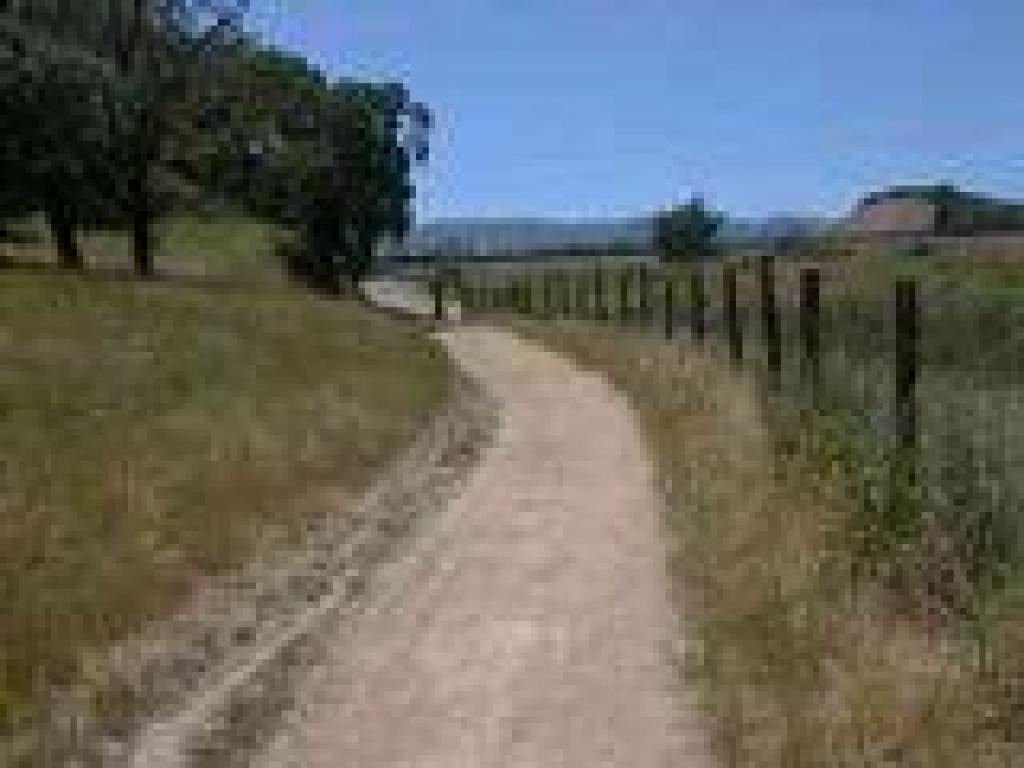 Returning to the trailhead