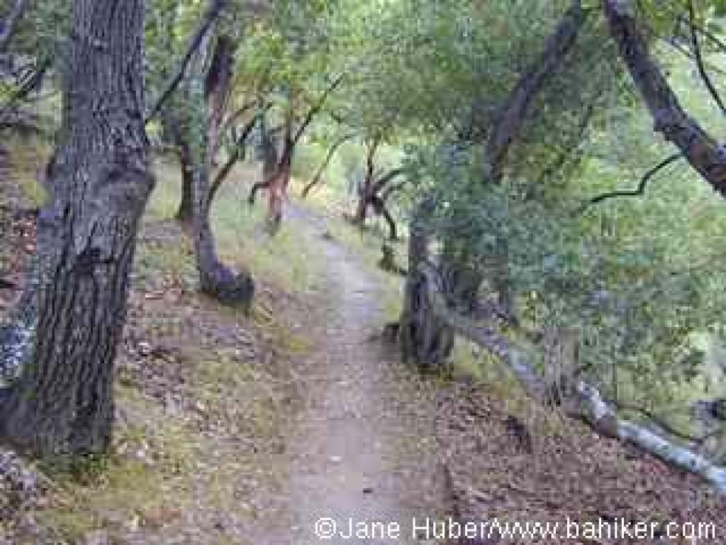 Woodoaks Trail
