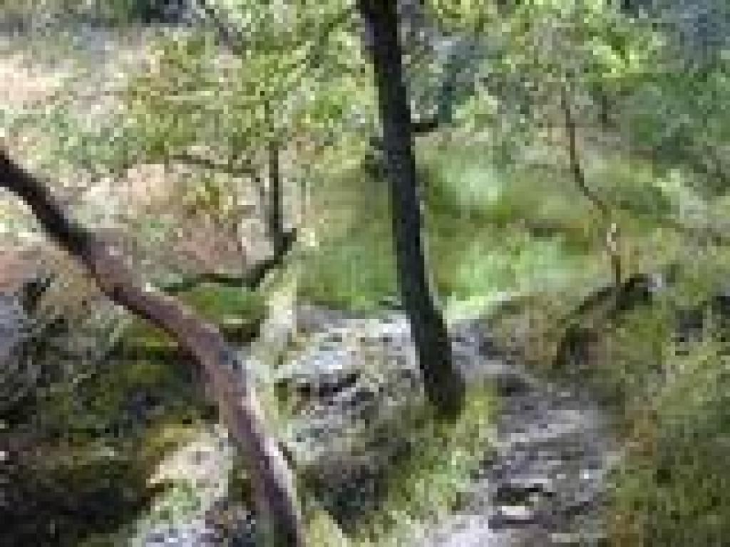 Crossing a creek
