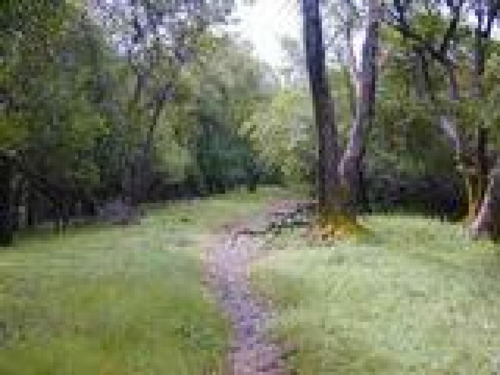 A grassy stretch