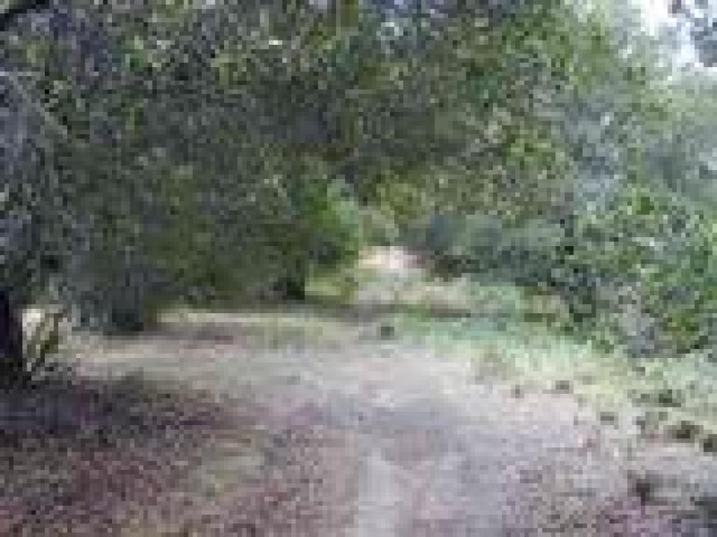 Path along the ridge