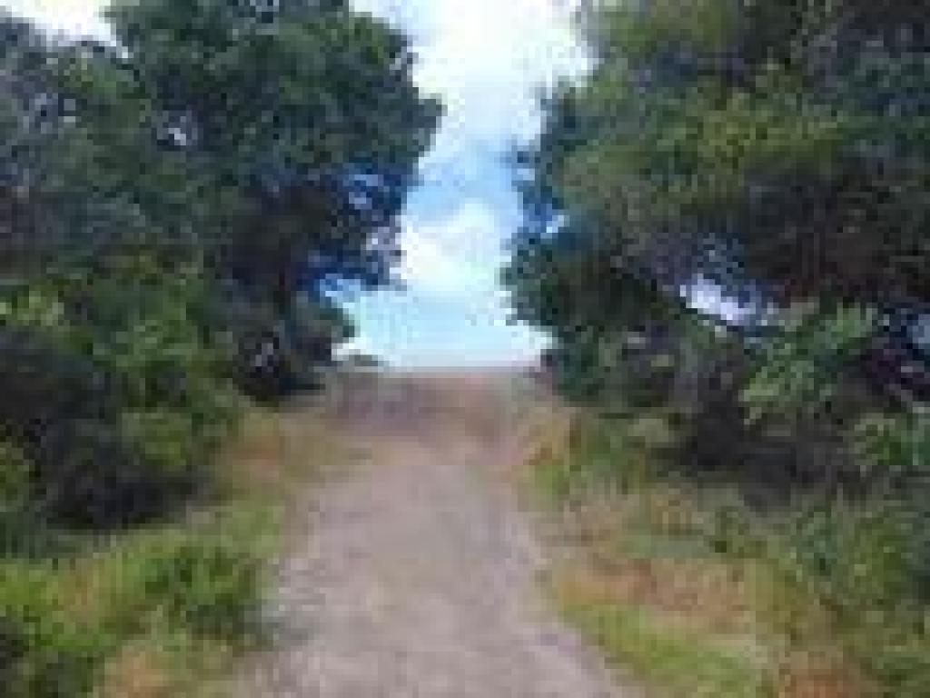 Fire Road