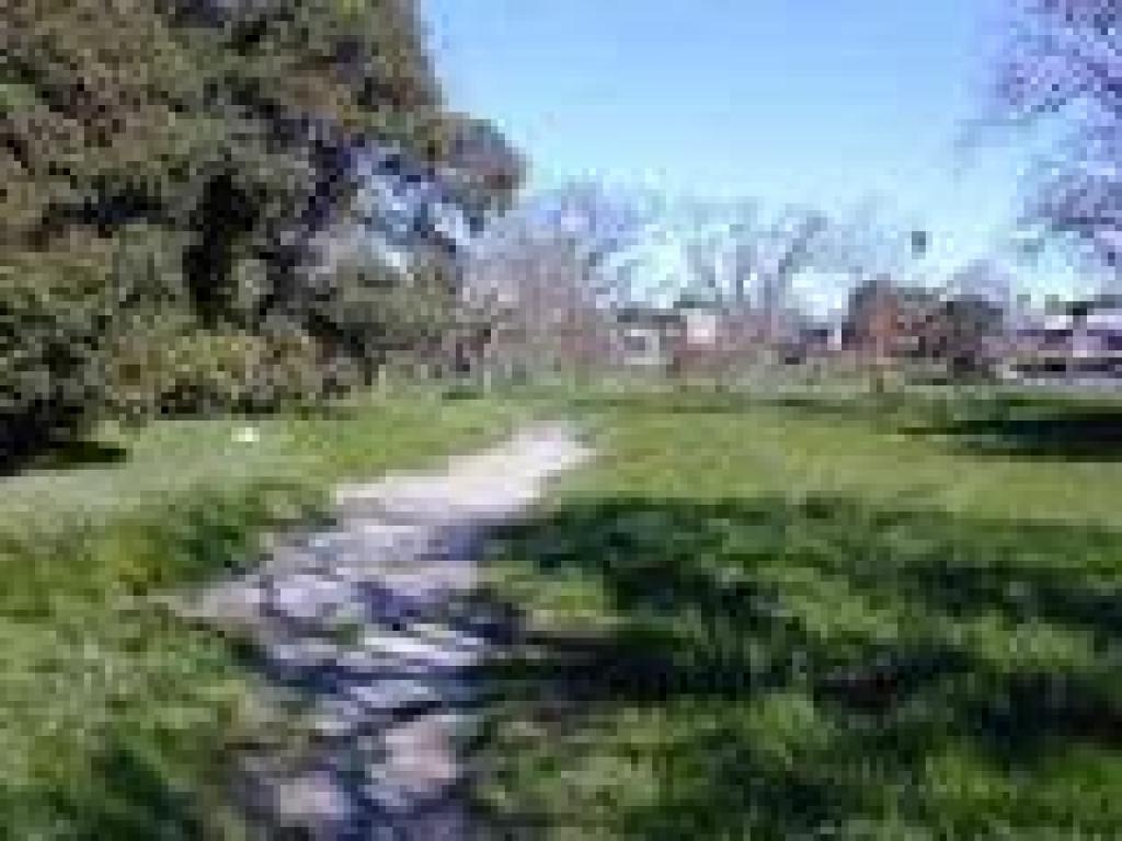 Trail