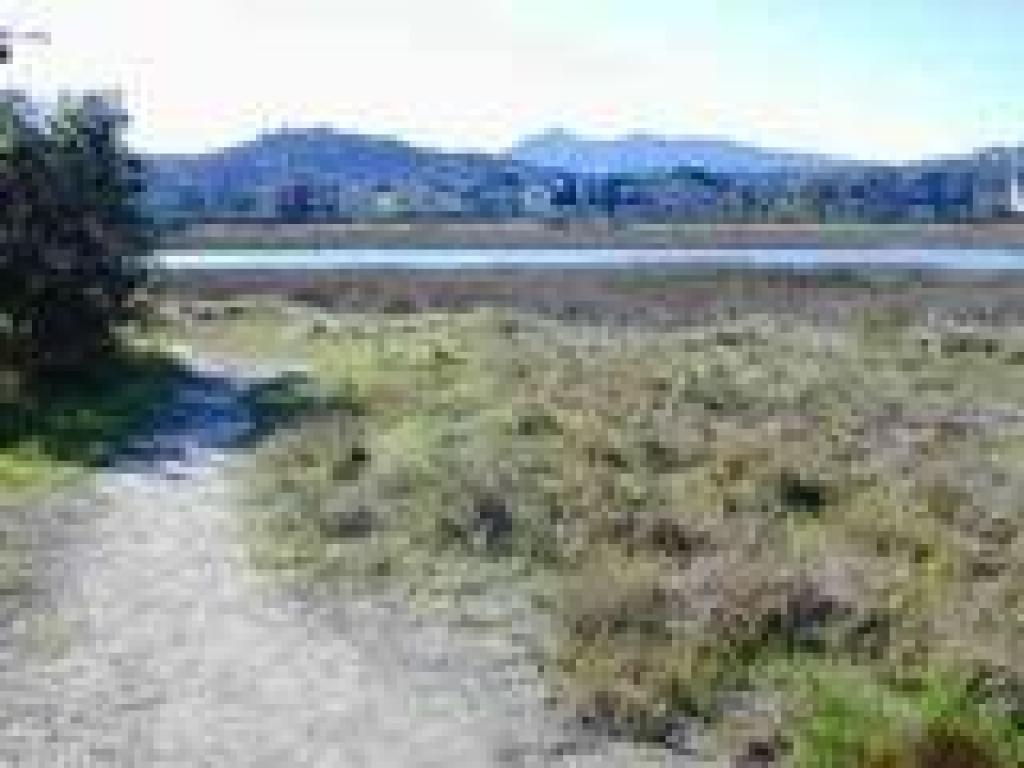 View to Tam