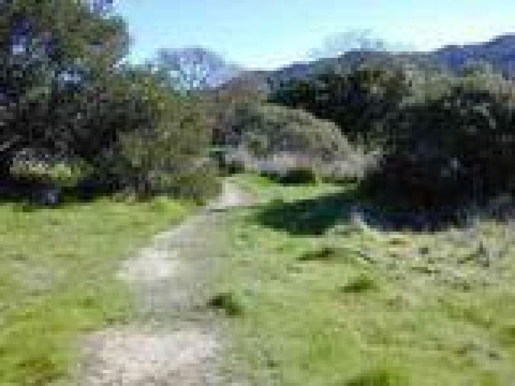 Trail