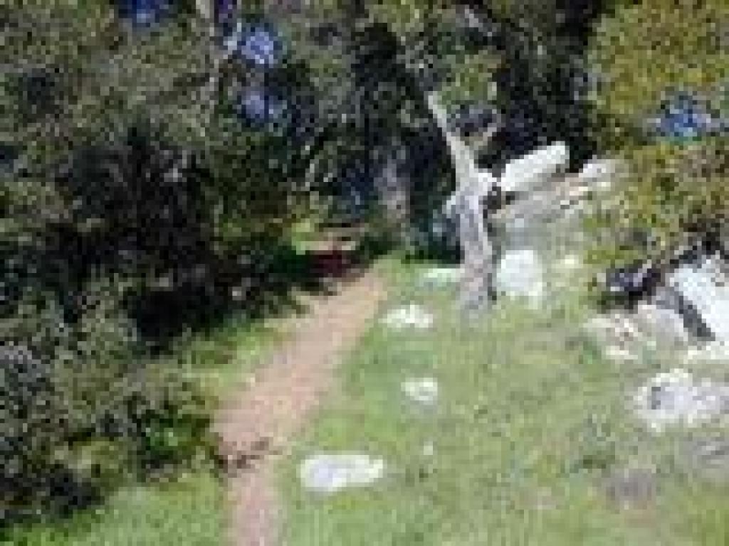 Path to hill