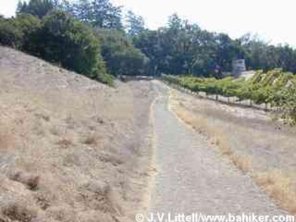 Bigleaf Trail skirts a vineyard near the park boundary