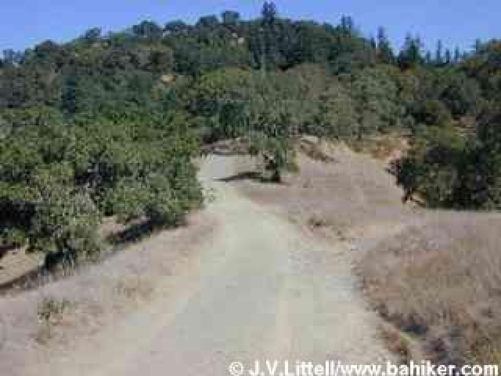 Ridge Trail