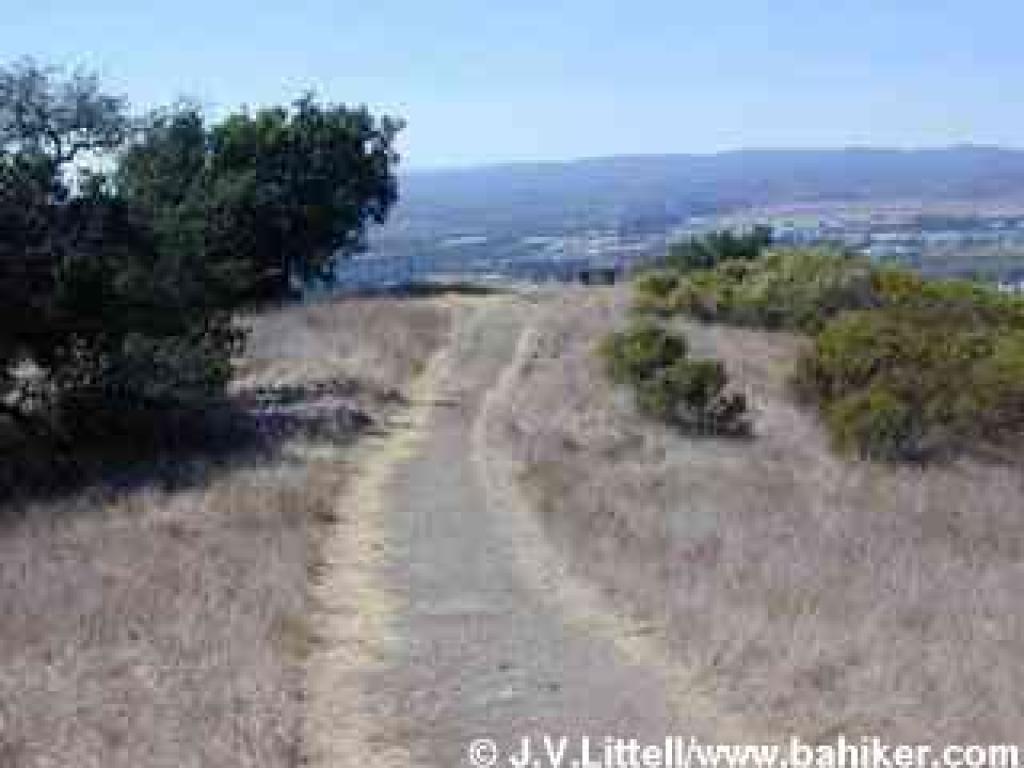 Viewpoint