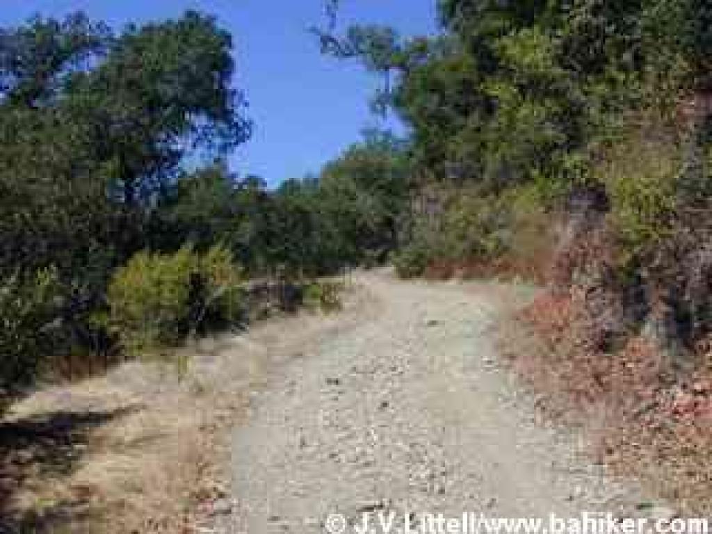 A rocky stretch on Ridge Trail